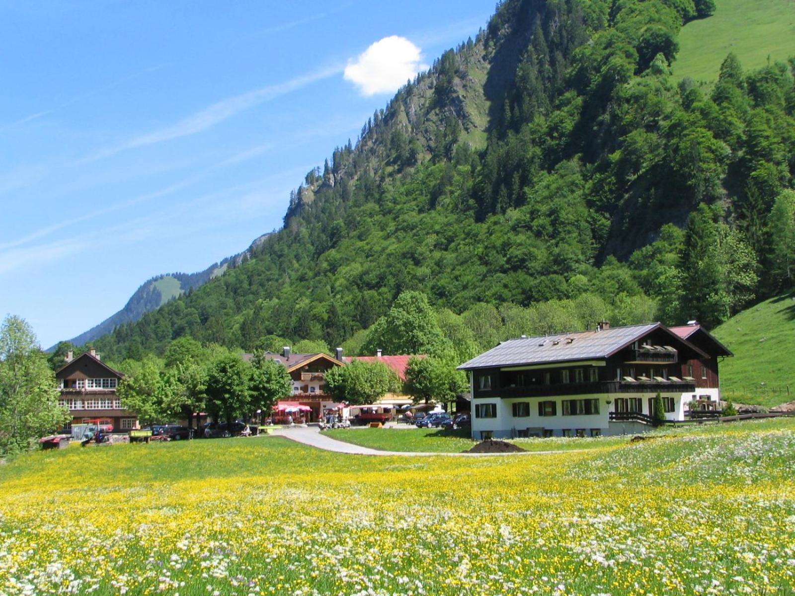 Ferienparadies Spielmannsau Оберстдорф Екстериор снимка